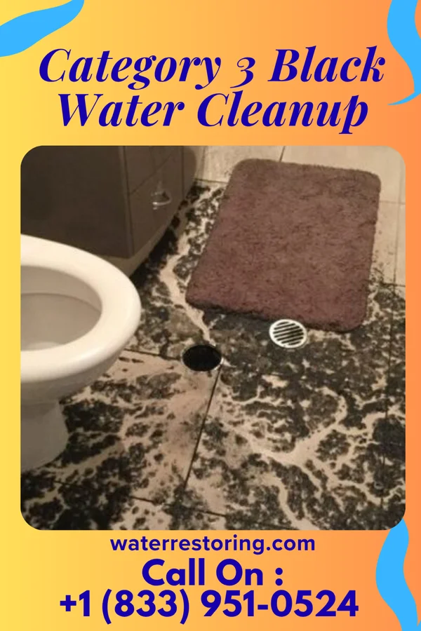 Category 3 Black Water Cleanup in Sedona, AZ